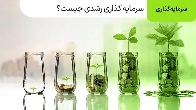 سرمایه گذاری رشدی چیست؟