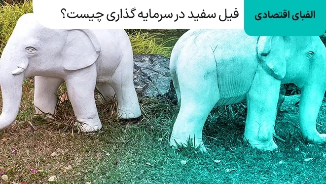 فیل سفید در سرمایه گذاری چیست؟